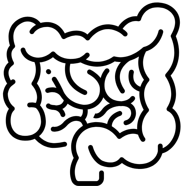 Cirugía de Intestino Delgado y Grueso